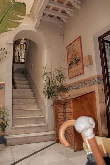 Penthouse With Large Terrace In Center Of Cadiz Apartment Exterior photo